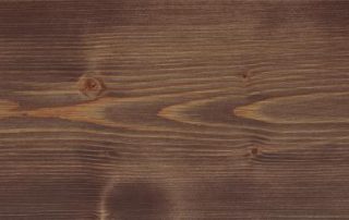 021 močvirski hrast